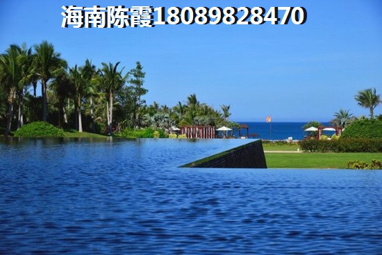 椰子洲岛开发商怎么样？