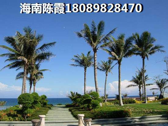 中粮红塘悦海怎么样