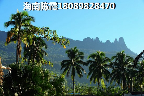 卓达东方巴哈马VS中信博鳌山钦湾分析对比