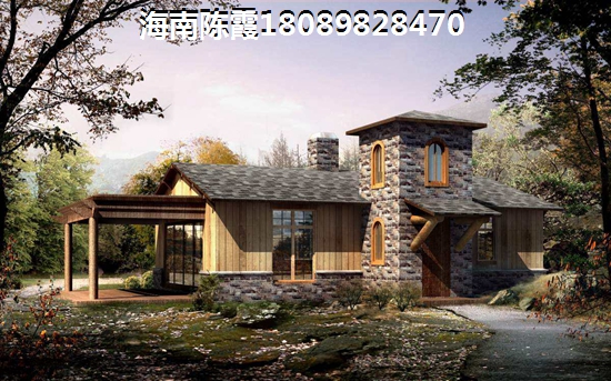 海南中盟椰海国际 海南中盟椰海国际