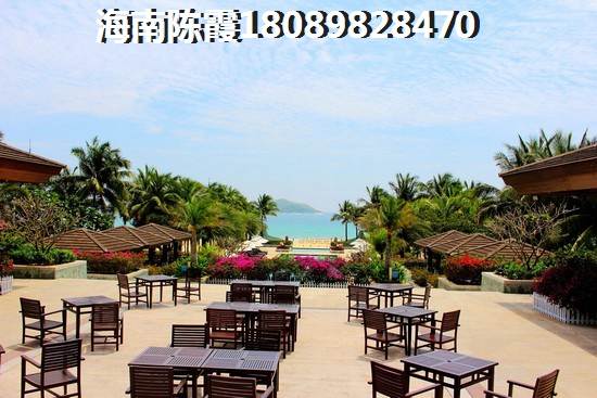三亚海棠湾海景房，很多人第一时间想到的当然是海风、阳光、沙滩、海鸥......