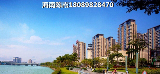 椰子洲岛