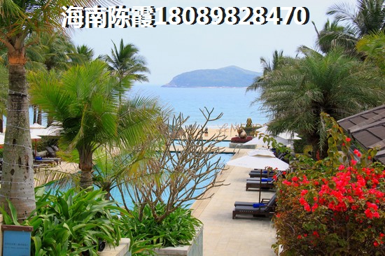 三亚艺海棠