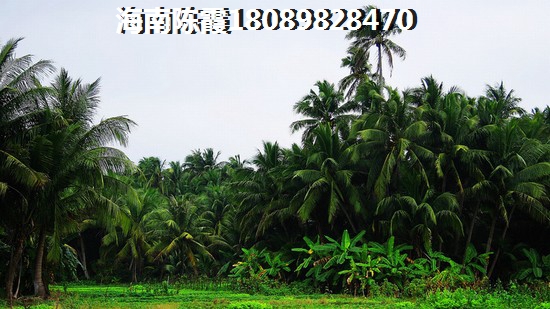 为什么天懋中央大道的北方人那么多？