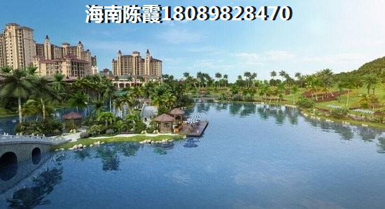 海南全域XG政策