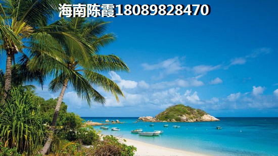 仁恒·海棠湾房子