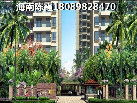 国美·海棠湾开发商实力