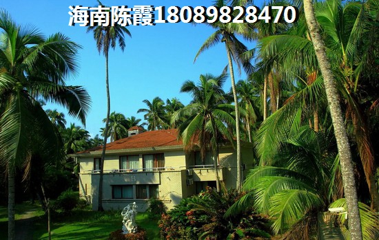 公园88号海景房的优势和不足