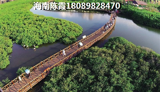 三亚崖州区房价能不能跌4