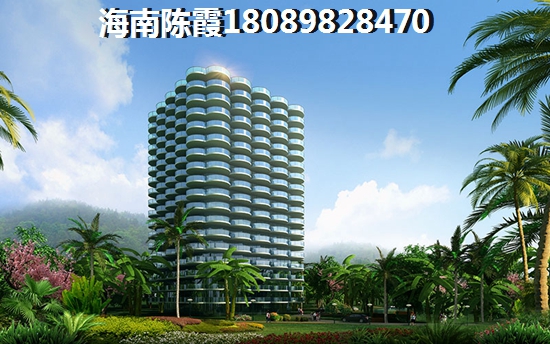 2022醉新三亚房价！