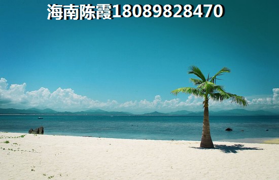 “候鸟”评论曝光兰海·美丽新海岸真实口碑~