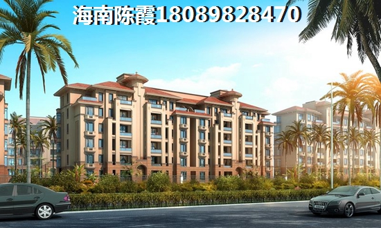 三亚适合养老兼touzi新房大全3
