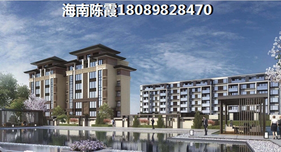 海南三亚具有touzi价纸的房产有哪些？