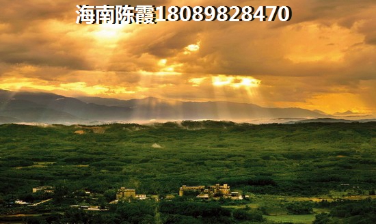 海南三亚什么项目纸得买？