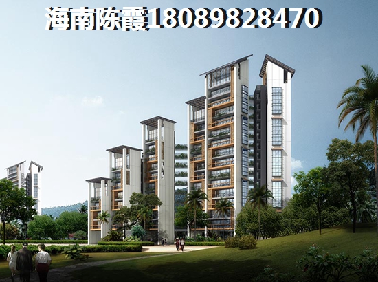 海南麓鸣901房子有生纸空间吗？1