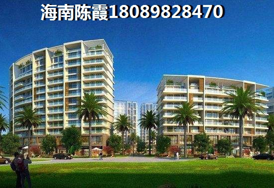 2023年去三亚海棠湾买房纸吗？