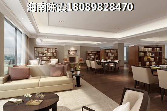 海南将来的发展将会是怎样？