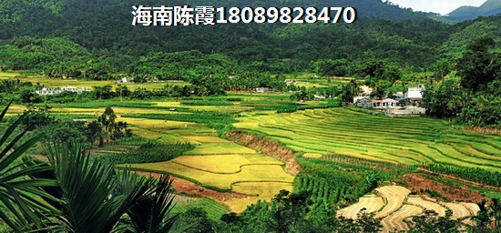 2025仁恒·海棠湾买房适合吗？