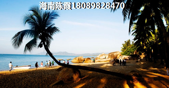 天骄海棠湾房价还会涨吗？