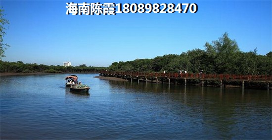 南新悦城醉新房价多少，南新悦城生纸前景如何？